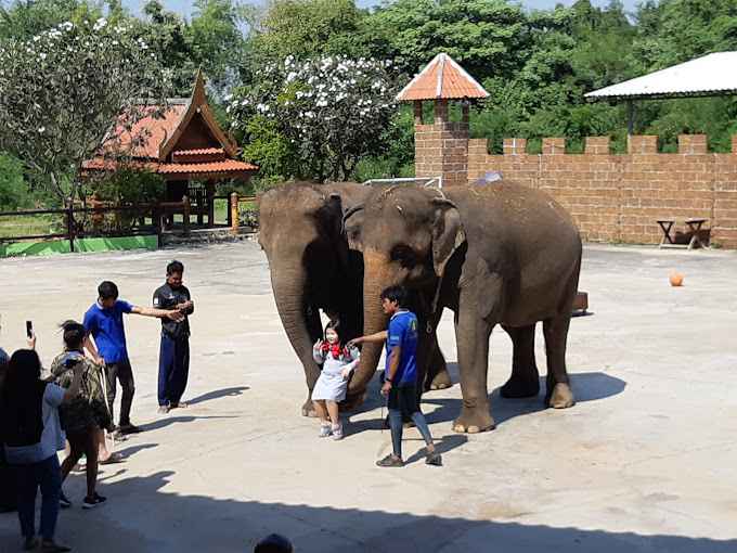 Kanchanaburi Safari Park: Unleash Your Wild Side on an Unforgettable Adventure!